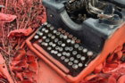 an old typewriter sitting on the ground next to a bush
